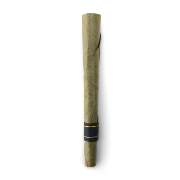 Pre Rolls de CBD Blunt Iguanito